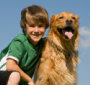 Dollar Dog Kids Club
